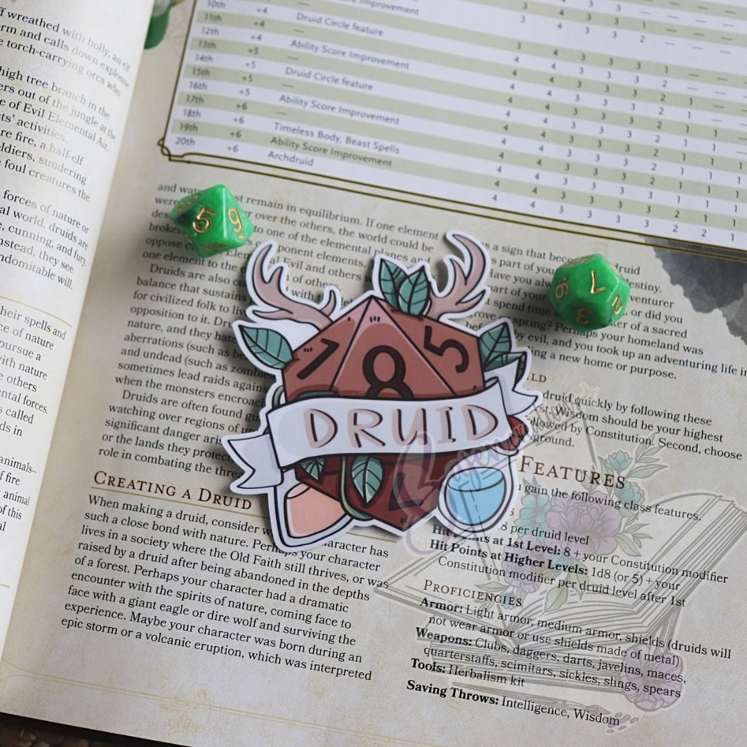 Sticker with 'Druid' design on an open book with game rules.